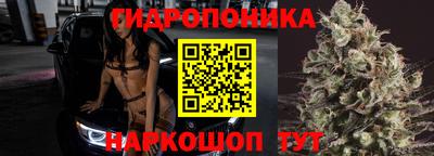 СК Свободный