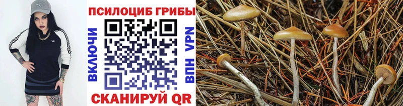 купить   Норильск  KRAKEN ССЫЛКА  Галлюциногенные грибы прущие грибы 