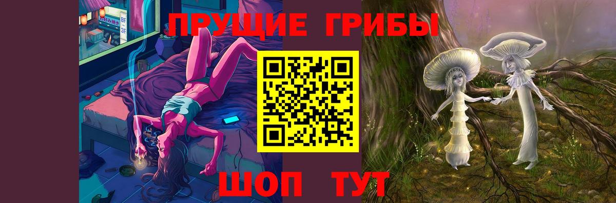 Норильск  Псилоцибиновые грибы Cubensis  Вход с VPN 