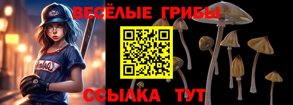 Галлюциногенные грибы ЛСД Норильск