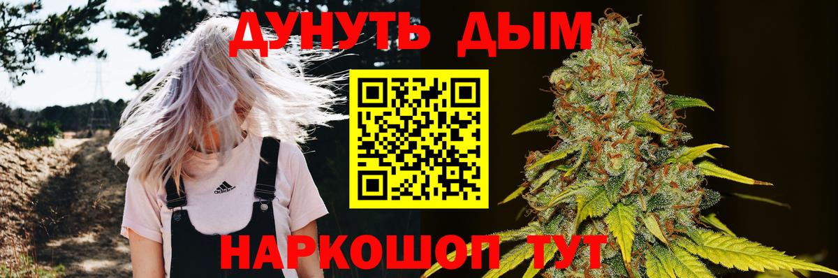 Шишки марихуана конопля  Шишки марихуана White Widow  Вход с VPN  Конопля тримм  Норильск 